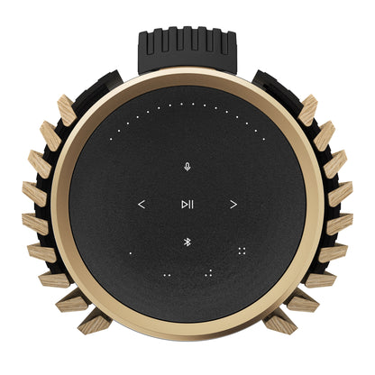 BeoLab 28 Bedienfeld von Oben