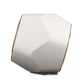 Bang & Olufsen BeoLab 19 Subwoofer in Gold Tone